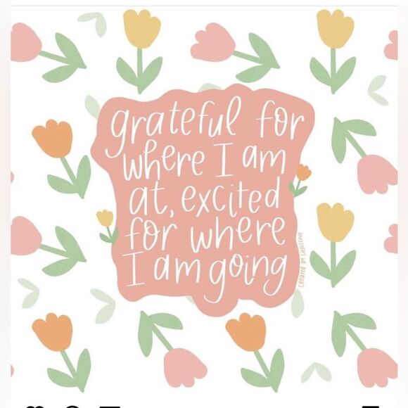 Wild-fox Frankie Denim Skirt Mini Size Medium NWT - Picture 9 of 9